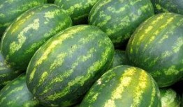 2025最新吃瓜爆料,最新吃瓜爆料大盘点