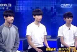 tf央视节目爆料最新视频,深度解析视频内容背后的真相